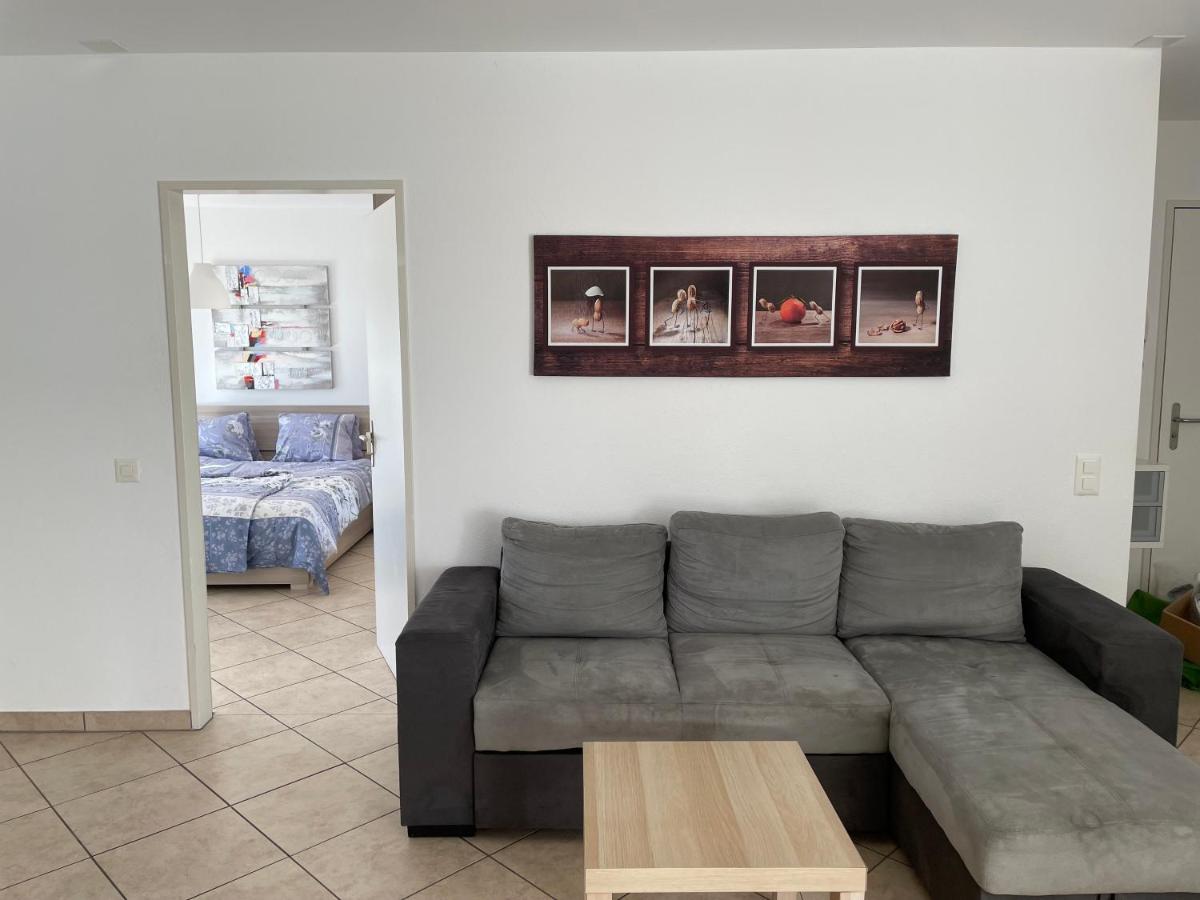 Appartamento 2,5 Con Piscina Nel Cuore Di Locarno 463 Экстерьер фото